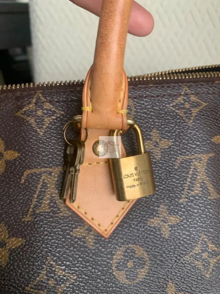 Torebka Louis Vuitton Speedy 25